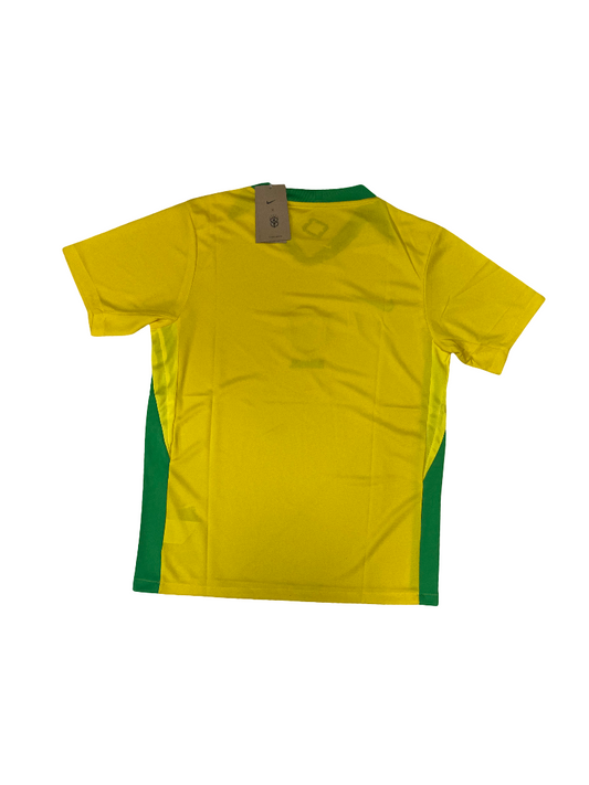 Brazil Home Kit 2024